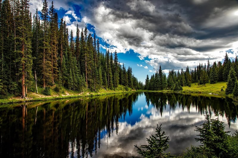 Tranquil Pond